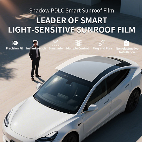 Auto Canopy